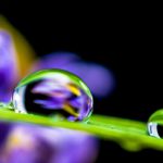 Ausbringung von Gärresten in der Trinkwasserschutzgebietszone WIIIb